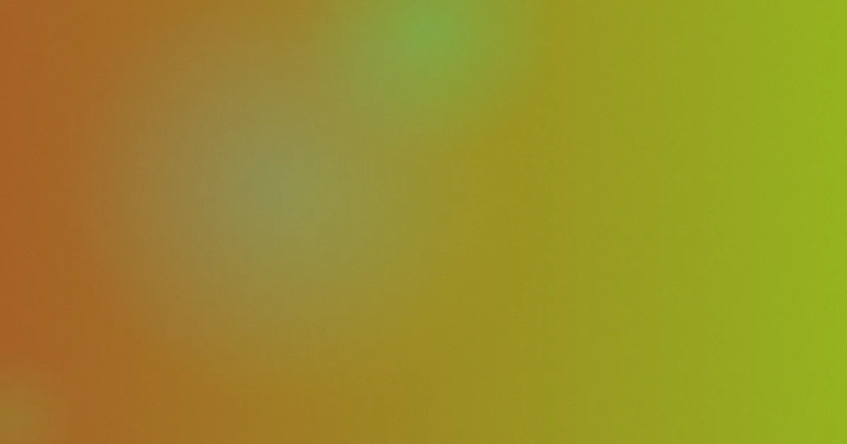 完美拍档是什么？常见疑问一次讲清